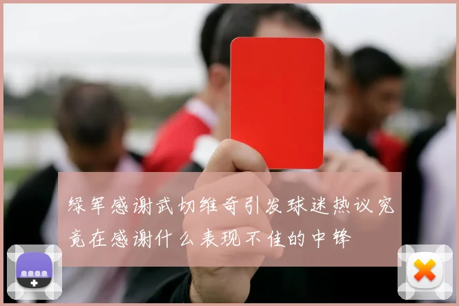 绿军感谢武切维奇引发球迷热议究竟在感谢什么表现不佳的中锋